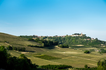 Fototapeta na wymiar Vineyards on hills in the Langhe region, Piedmont, Italy