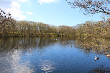 Vogelkoje Meeram, Amrum