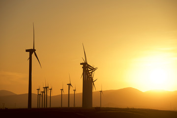 Fototapeta premium Wind energy