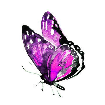 pink butterfly,watercolor, isolated on a white