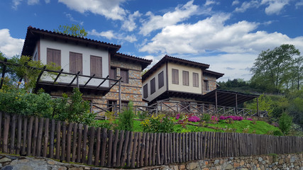 Fototapeta na wymiar Street and traditional houses at Palaios Panteleimonas village
