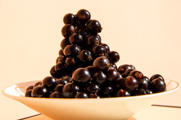 Black ripe garden currant berries in dishes are filled with vitamins