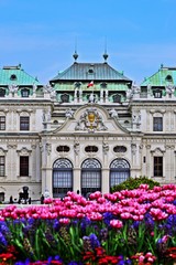 Obraz premium Schloss Belvedere Wien