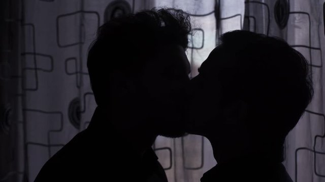 Silhouette of young men kissing with passion near the window 