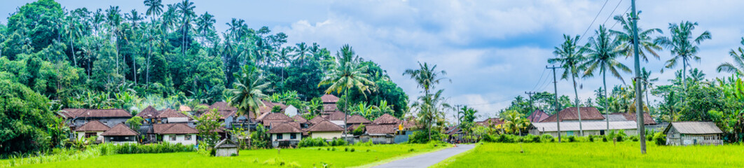 Fototapeta na wymiar Town houses near rice tarrace field under palm trees in Sidemen district. Bali, Indonesia
