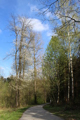 Obraz premium Spring nature