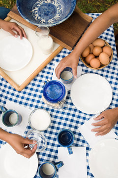 summer day picnic - hands holding cup of milk - blue and white checkered tablecloth -.Family Life Concept
