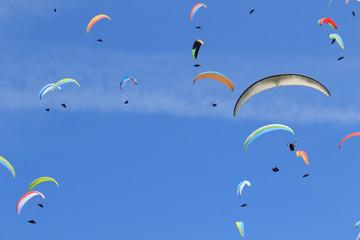 many paragliders on the sky