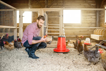 Farmer collecting eggs at the wooden henhouse with chickens © rh2010
