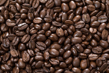 Coffee bean