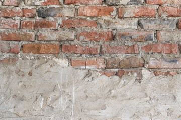 Fototapeta premium Old brick wall with shabby white stucco, detailed texture.