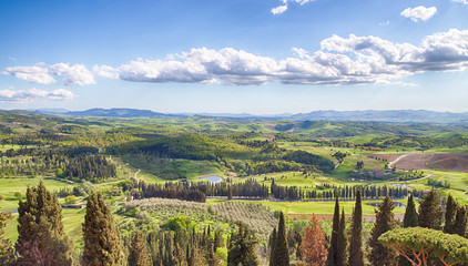 Obraz premium Golf Course in the Tuscany 