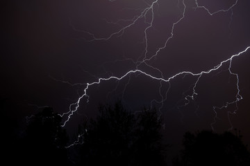 Lightning Above Woods