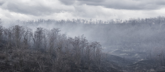 Black charred trees and grass in the smoke after the fire in the valley the gloomy clouds background.