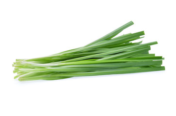 Garlic chives isolated on white background