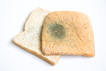 moldy bread on white background