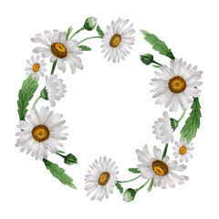 Fototapeta premium Wildflower chamomile flower wreath in a watercolor style isolated.