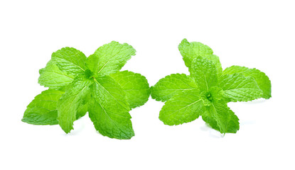 Mint leaves isolated on white background