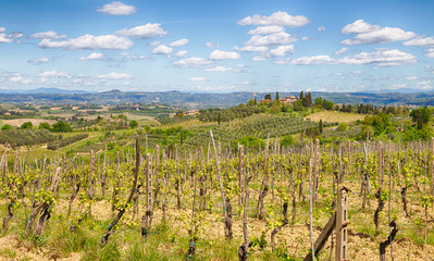 Fototapeta na wymiar Hills in the Tuscany