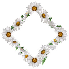 Wildflower chamomile flower frame in a watercolor style isolated.