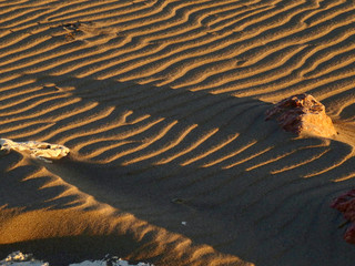 Wave patterns on sand in sunset light