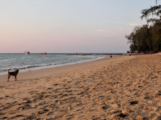 Sunset on Nai Yang beach, Phuket, Thailand