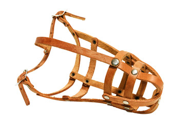 Brown puppy Muzzle isolated