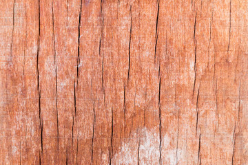 Texture of old wood use as natural background.