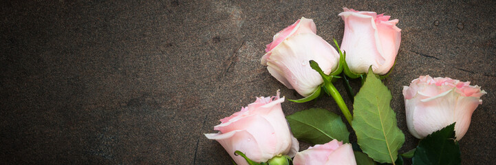 Pink rose at stone table. Long banner format.