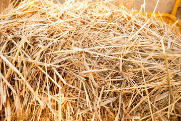 straw background texture.