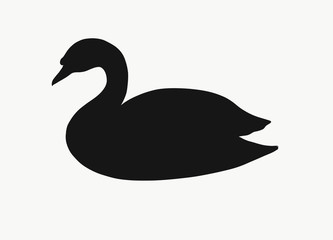 The black silhouette of a floating swan