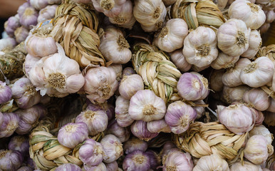 Closed up of dry garlic in Bangkok street market