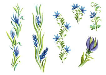 Fototapeta na wymiar watercolor flowers in different styles