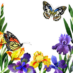 Wildflower iris flower frame in a watercolor style isolated.