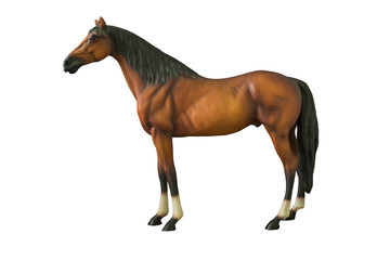 Fototapeta na wymiar Wild brown horse standing isolated on white background