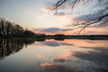 Evening landscape over the pond with several trees