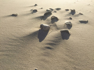 
Beach sand with stones - beach sand with waves of the blow of the wind