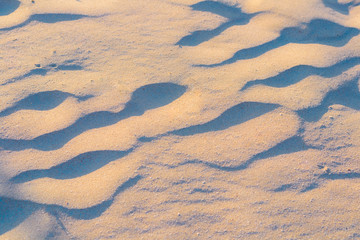 Seamless sand texture. Golden summer beach at the sunset. Natural background. Shell rock. Top view