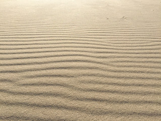 Beach sand - beach sand with waves of the blow of the wind