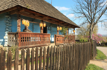 Fototapeta na wymiar Traditional Ukrainian wooden house.Ukraine