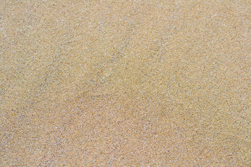 Seamless sand texture. Golden summer beach. Natural background. Shell rock. Top view