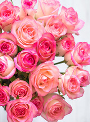 Bouquet of beautiful natural pink roses close up on a white backdrop. Floral background. Valentines Day romantic concept. Copy space