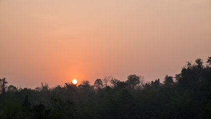 sunrise in the forest
