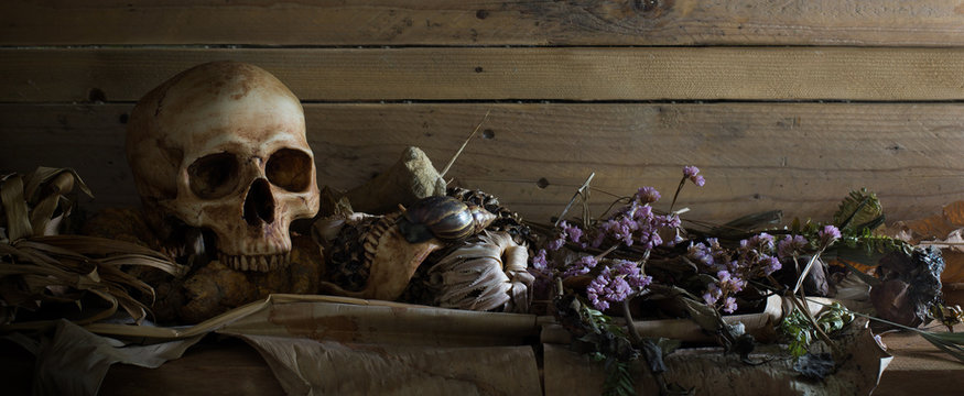 Skull on pile of dry fruits and flowers on the plank for header, banner, cover