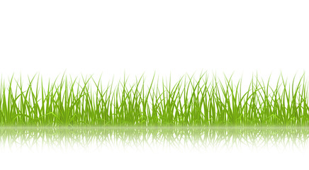 Fototapeta na wymiar High quality green grass with reflection on white, seamless vector illustration.