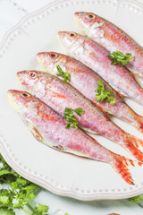 Fresh surmullet on a plate close-up, horizontal