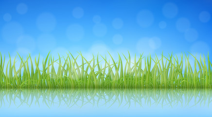 High quality green grass with reflection on water surface, vector illustration.