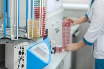 A petri dish in the hands of a laboratory assistant, a medical laboratory