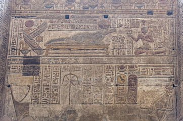 Hieroglyphic carvings on an ancient egyptian temple wall