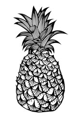 Tropical fruit pineapple.
